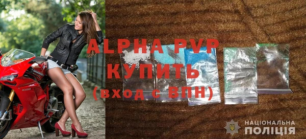 прущие грибы Бугульма