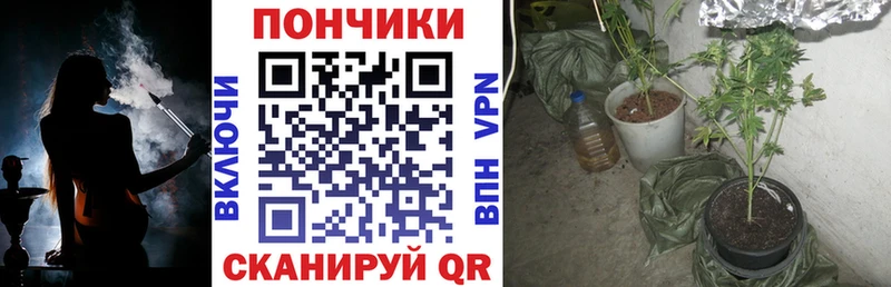 Канабис Bruce Banner MEGA ССЫЛКА Новоуральск где купить